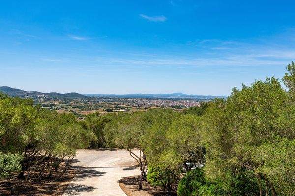 43b332e0-d4d8-4e24-ad65-c11db70516a3