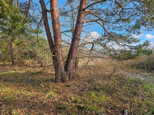 Grundstück weitere Ansicht