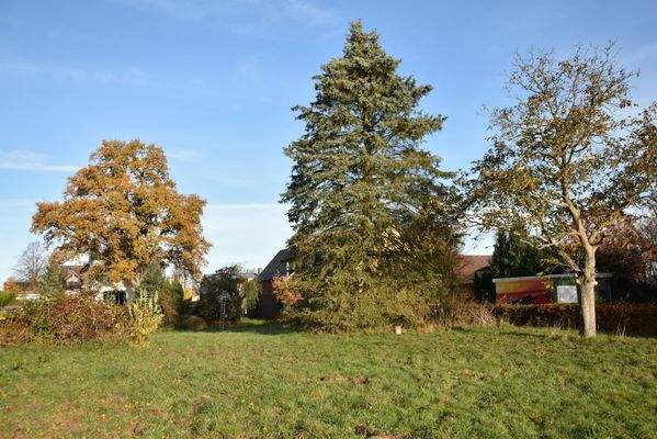 Baugrundstück Ansicht vom Billetal.jpg