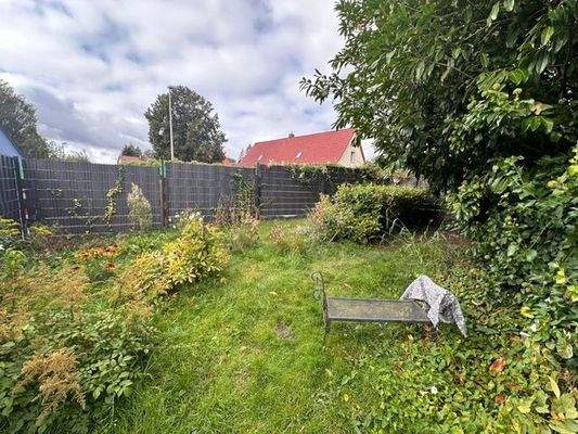 PHOTO-2024-10-22-11-34-57 (5)