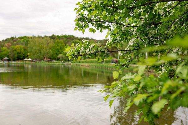 Umgebung_Bischofsweiherstr (6).jpg