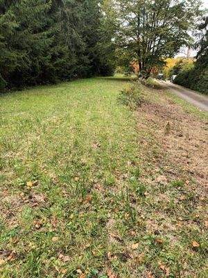 Bereich und Zufahrt zum Haus