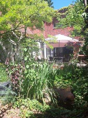 eingewachsenes Grundstück