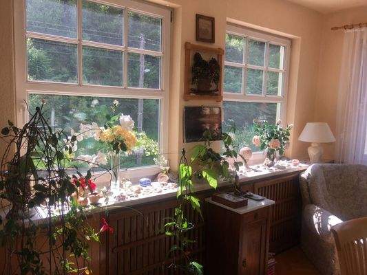 Fensterbänke im Wohnzimmer