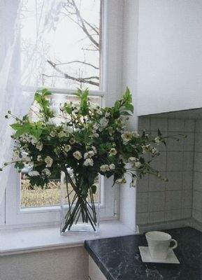 Küche (Musterwohnung)