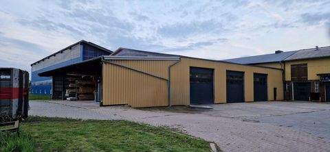 Bullenkuhlen Halle, Bullenkuhlen Hallenfläche