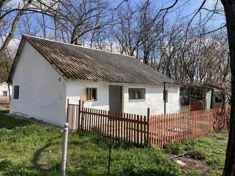 Lajosmizse Häuser, Lajosmizse Haus kaufen