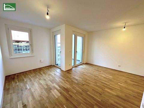 Wien Wohnungen, Wien Wohnung mieten