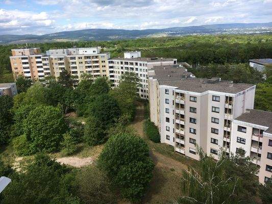 AiBATROS-1600-80603-Sertoriusring 337 / 55126 Main