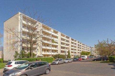 Dresden Wohnungen, Dresden Wohnung mieten