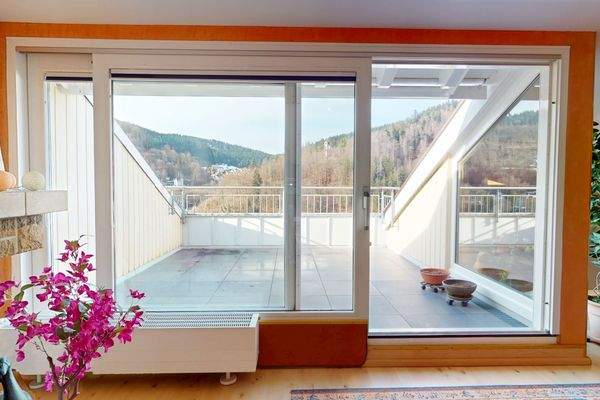 Zugang zur großen Dachterrasse aus dem Wohnbereich