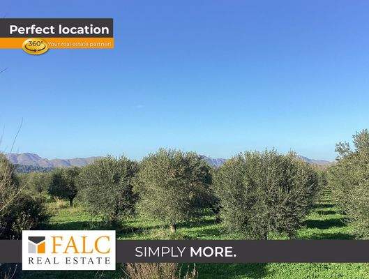 Aussicht Grundstück Alcudia