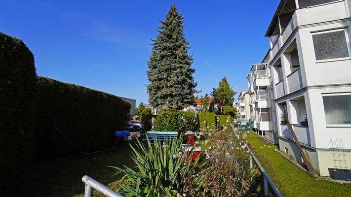 Kleine, grüne Idylle hinter dem Haus