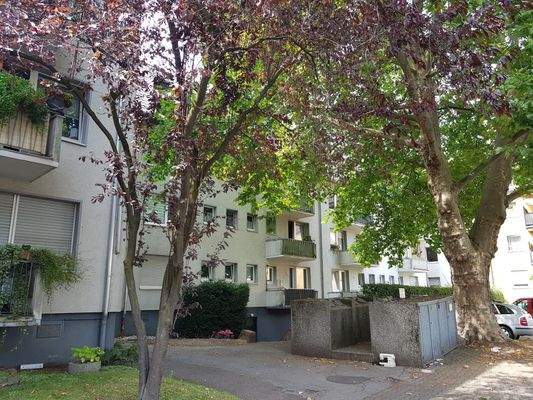 Rückseite Ulrich-Zell-Str. 1-7