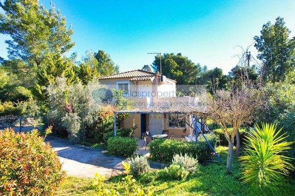 06803933d88f439397dffcaaf401da31-original