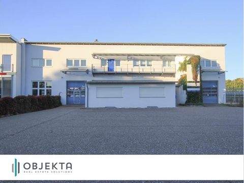 Ulm Halle, Ulm Hallenfläche