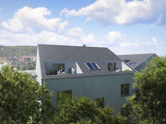 Ansicht Dachterrassen.jpg