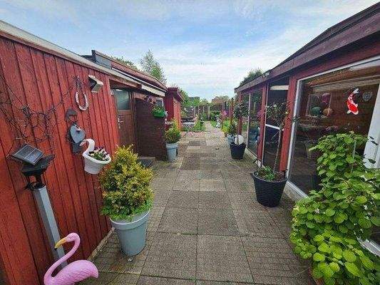 20250502_172118 (800x600).jpg