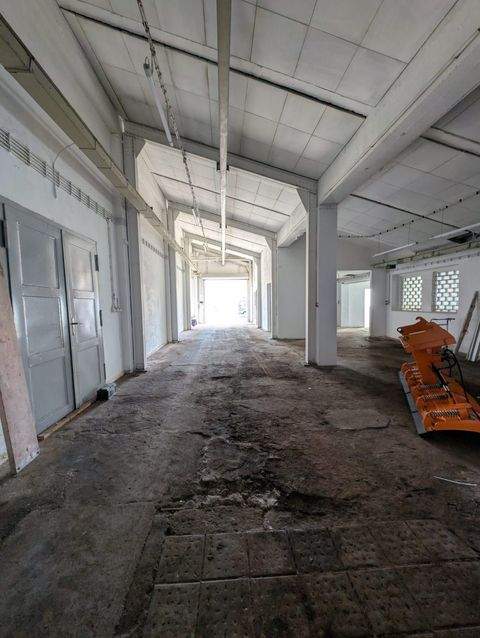 Sonneberg Halle, Sonneberg Hallenfläche