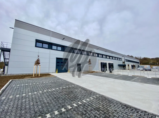 INFOS UNTER: 06171-586000