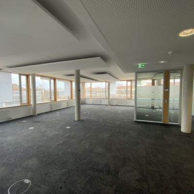 Foto 28.02.24, 15 16 28