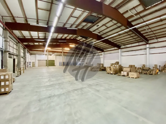 INFOS UNTER: 06171-586000