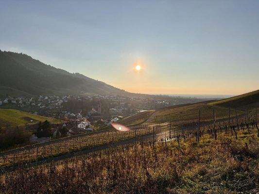 Idyllische Landschaft Neuweier