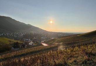 Idyllische Landschaft Neuweier