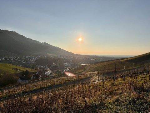 Baden-Baden Wohnungen, Baden-Baden Wohnung kaufen