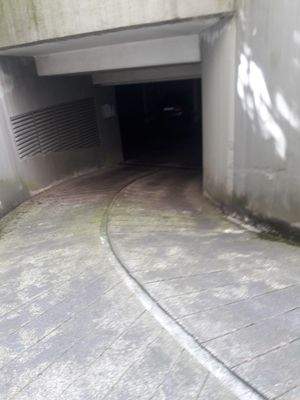 TG Kollwitzstr. 4 Einfahrt