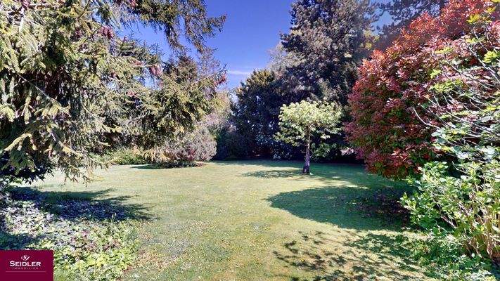 Impressionen Garten, Baugrund