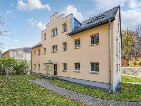 Sebnitz Wohnungen, Sebnitz Wohnung kaufen