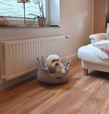 &quot;Pudel&quot;-wohl fühlen ;)