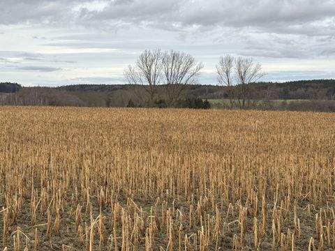 Pfeffenhausen / Oberlauterbach Bauernhöfe, Landwirtschaft, Pfeffenhausen / Oberlauterbach Forstwirtschaft