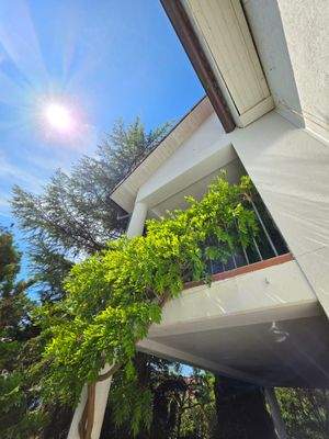 Eingebettet in die Natur