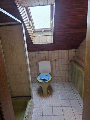 Tageslicht-Duschbad mit WC im Dachgeschoss