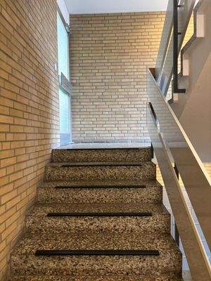 WhatsApp Image 2026-02-19 at 15.36.33