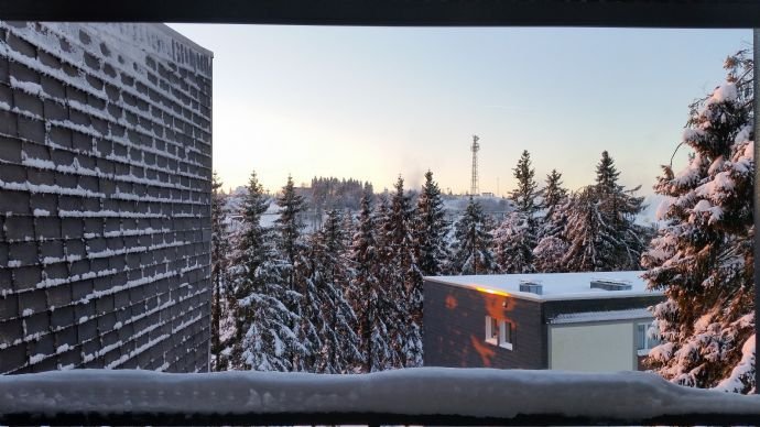 Chalet Appartement mit Panorama Blick im Skigebiet Winterberg -TOP LAGE