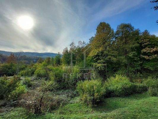 Eine begehrenswerte Aussicht bietet sich Ihnen