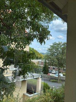 Ausblick auf den Petersberg