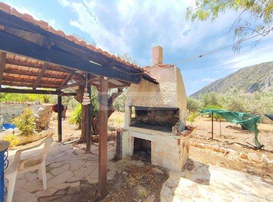 img_42fbab45-5e51-41fc-b4e5-83751230eec3