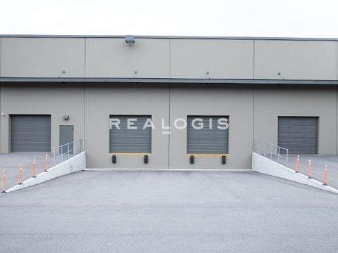 Hockenheim Halle, Hockenheim Hallenfläche