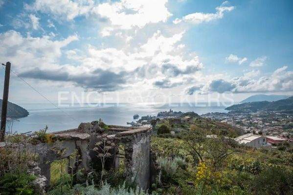 WhatsApp Image 2024-07-17 at 18.08.06 (1).jpg