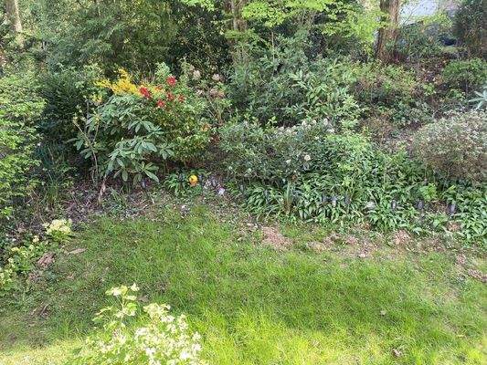 Gartenanteil - Teilansicht