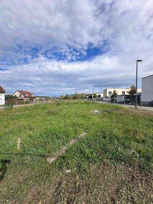 Blick Richtung Wittlingen