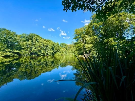 Spaziergang am Hörndiek See
