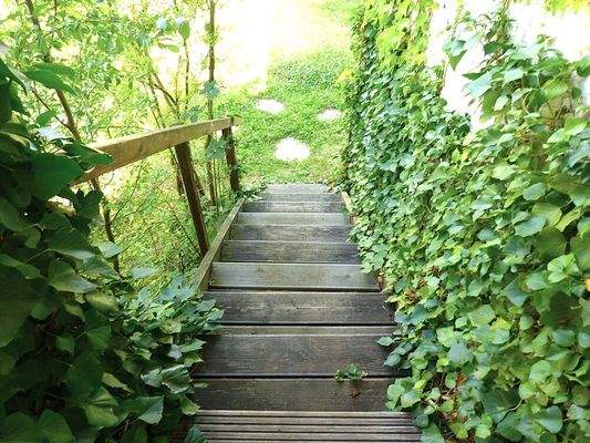 Treppe zum Garten