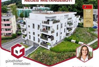 GI_Rahmen_Portale_Pyringer Kopie