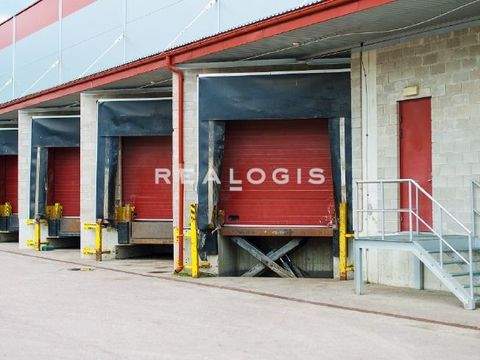 Hockenheim Halle, Hockenheim Hallenfläche