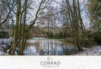 Naturgrundstück mit Teich